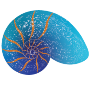 cropped-Expansion_Logo_Favicon.png